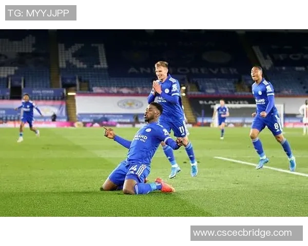 南安普顿主场迎战莱斯特城争夺英超宝贵积分的精彩对决